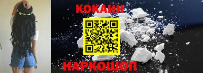 кокс Гатчина