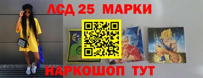 кокс Гатчина