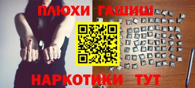 кокс Гатчина