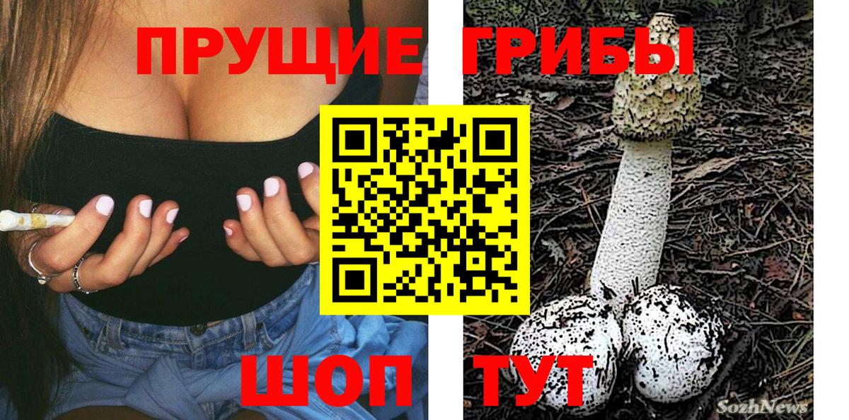 Псилоцибиновые грибы мицелий Минеральные Воды