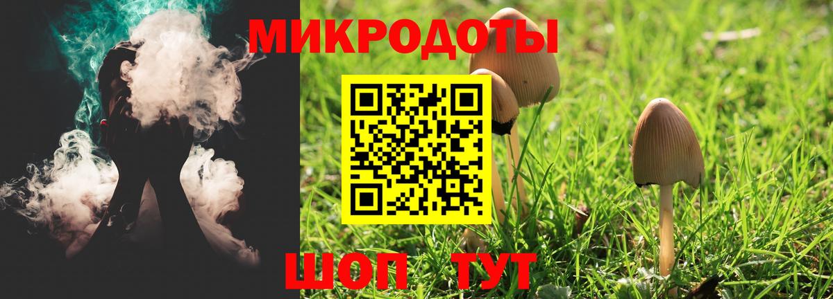 Галлюциногенные грибы MAGIC MUSHROOMS  Псилоцибиновые грибы GOLDEN TEACHER  сколько стоит  Вход с VPN  Минеральные Воды 
